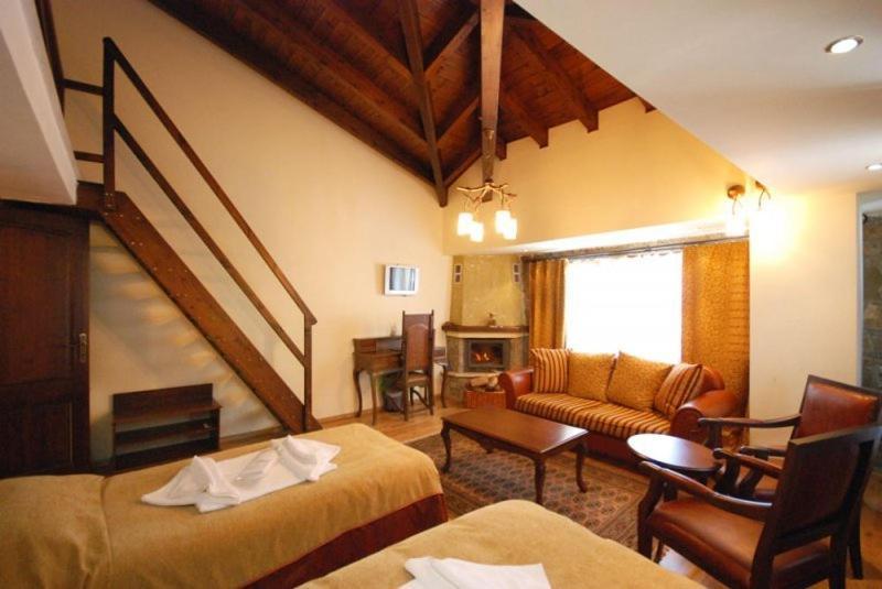 Vasilitsa Spa Resort Гревена Номер фото