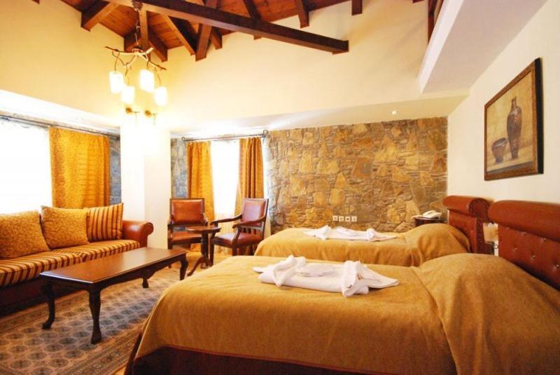 Vasilitsa Spa Resort Гревена Номер фото