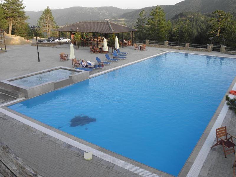Vasilitsa Spa Resort Гревена Экстерьер фото